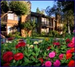 San Diego Country Estates